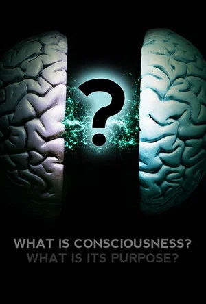 Постер: What Is Consciousness? What Is Its Purpose?