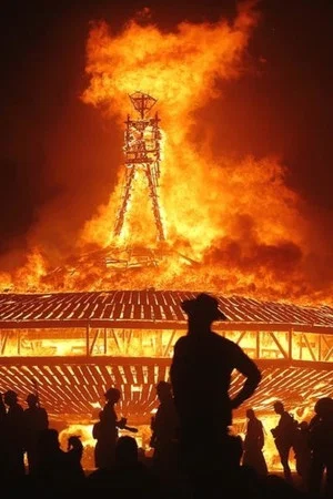 Постер: You Can't Unburn the Fire: The Burning Man Documentary