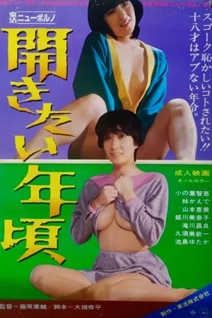 Постер: Hirakitai toshi-goro