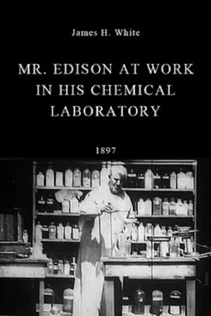 Постер: Mr. Edison at Work in His Chemical Laboratory