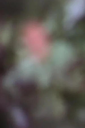 Постер: Psyche and Eros