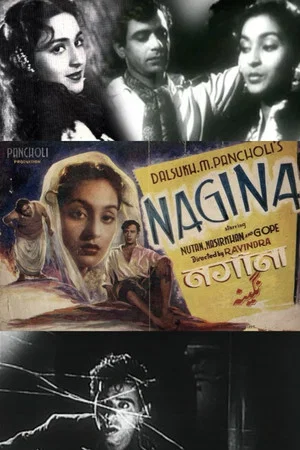 Постер: Nagina