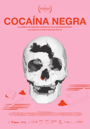 Постер: Black Cocaine