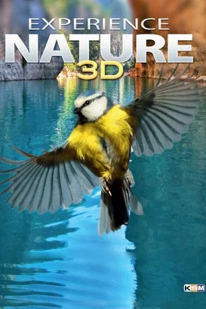 Постер: Изучая природу 3D