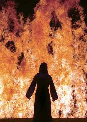 Постер: Fire Woman