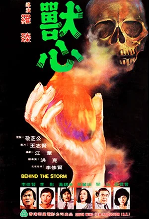 Постер: Behind the Storm