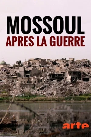 Постер: Mossoul, après la guerre