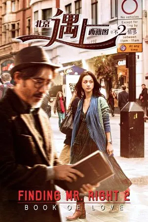 Постер: Finding Mr. Right 2