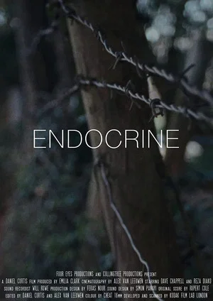 Постер: Endocrine