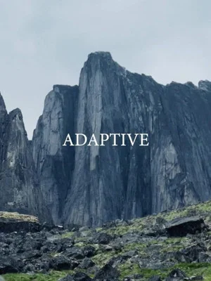 Постер: Adaptive