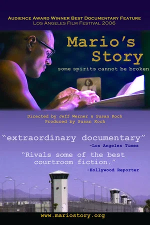 Постер: Mario's Story