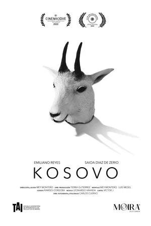 Постер: Kosovo