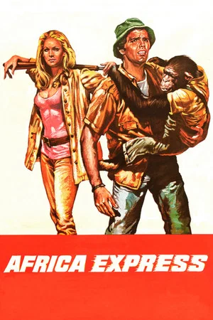 Постер: Africa Express