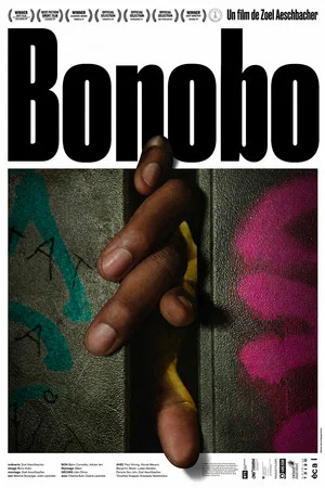 Постер: Bonobo