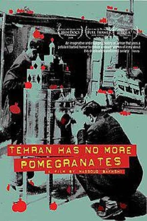 Постер: Tehran Has No More Pomegrenates!