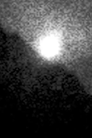 Постер: Poème des loups