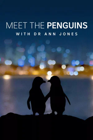Постер: Meet the Penguins