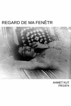 Постер: Regard de ma fenêtre