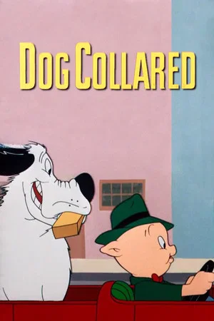 Постер: Dog Collared