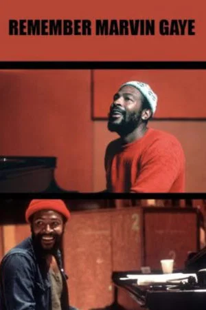 Постер: Remember Marvin Gaye