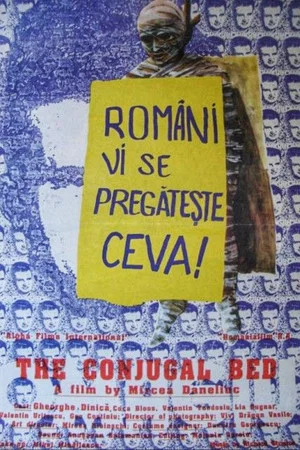 Постер: The Conjugal Bed