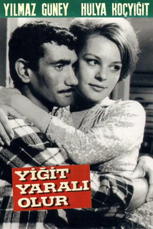 Постер: Yiğit Yaralı Olur