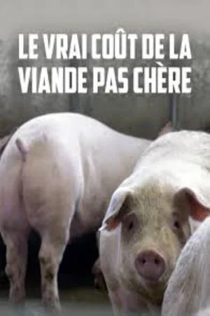 Постер: Le vrai coût de la viande pas chère