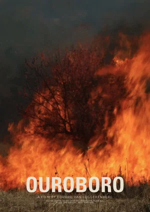 Постер: Ouroboro