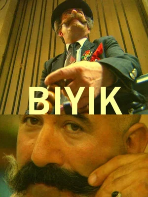 Постер: The Moustache