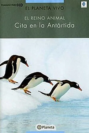Постер: Rush Hour in Antarctica