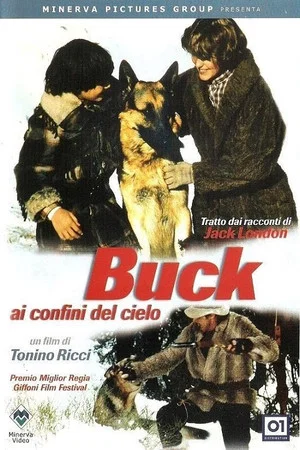 Постер: Buck at the Edge of Heaven