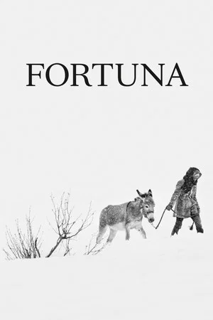 Постер: Fortuna