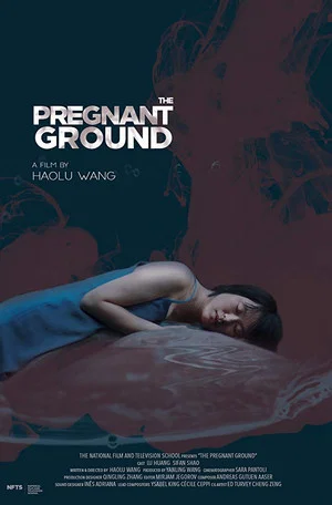 Постер: The Pregnant Ground