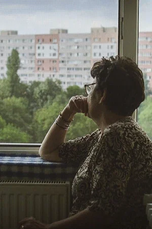 Постер: My Socialist Home