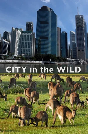 Постер: City In The Wild