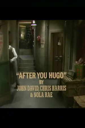 Постер: After You, Hugo