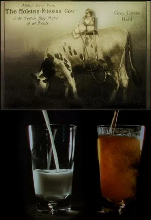 Постер: Notes on Milk