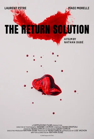 Постер: The Return Solution