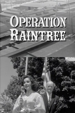 Постер: Operation Raintree