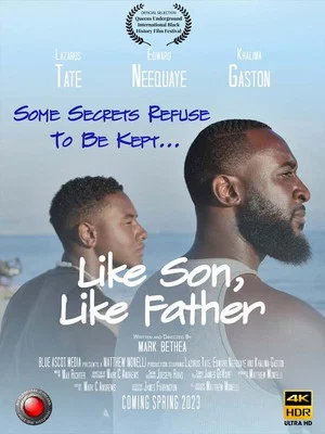 Постер: Like Son, Like Father