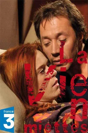 Постер: La Vie en miettes