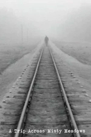 Постер: A Trip Across Misty Meadows