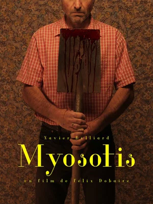 Постер: Myosotis