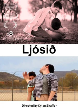Постер: The Light