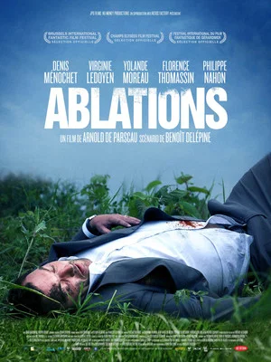 Постер: Ablations