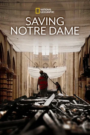 Постер: Saving Notre Dame
