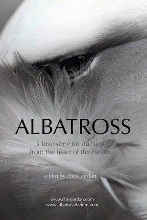Постер: Albatross