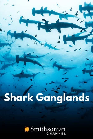 Постер: Shark Ganglands
