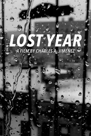 Постер: Lost Year