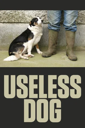 Постер: Useless Dog